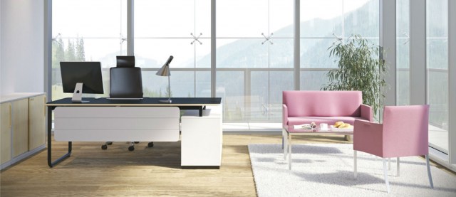 Operative desk Play & Work 